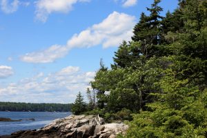 New England coastal nature scenery, Maine, USA.